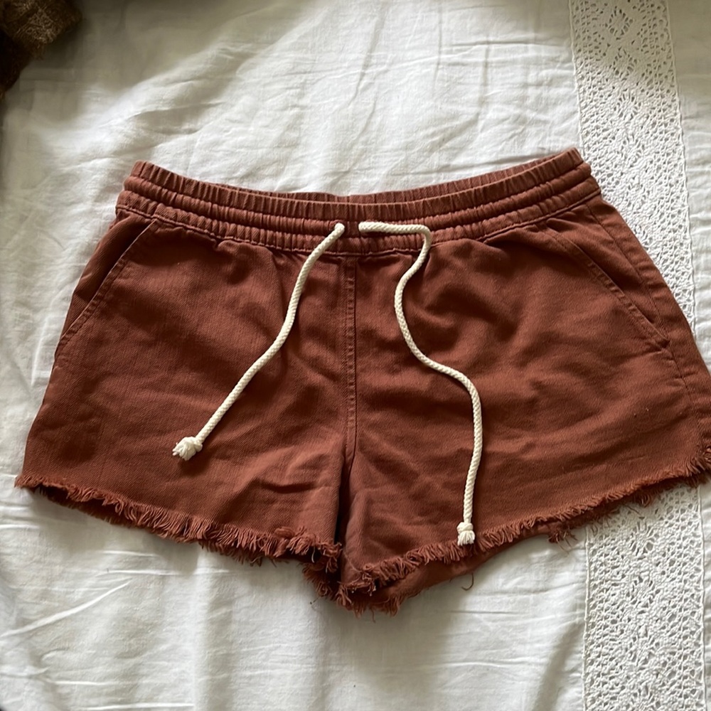 COPY - Aerie shorts
